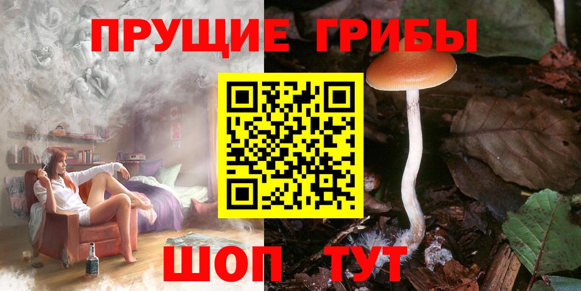 Псилоцибиновые грибы мухоморы Кудымкар