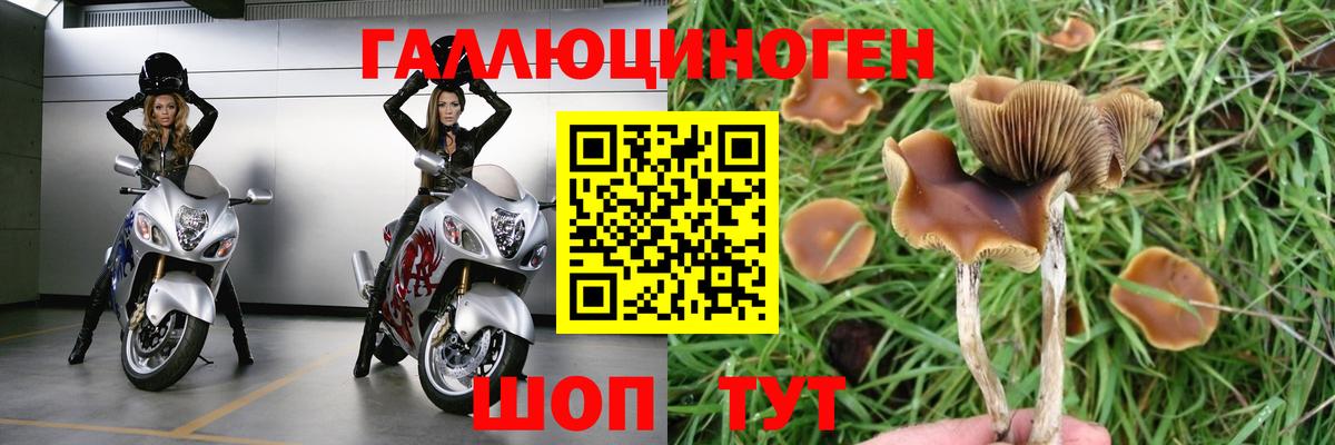 Кудымкар  Галлюциногенные грибы MAGIC MUSHROOMS  Вход с VPN 
