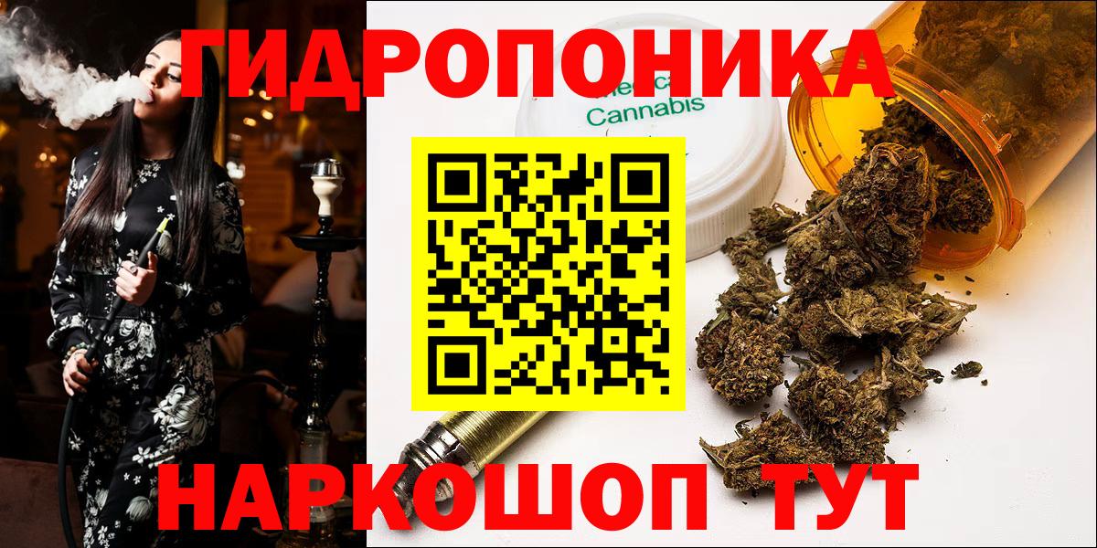 Кудымкар  Конопля индика  Конопля Bruce Banner  Вход с VPN  Канабис планчик  Бошки Шишки конопля 